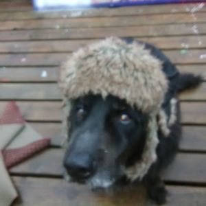 Meet your Posher, Dave